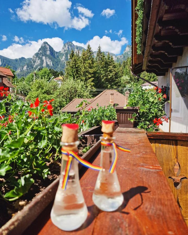 Amor Tirol Busteni (Adults Only) Exteriér fotografie