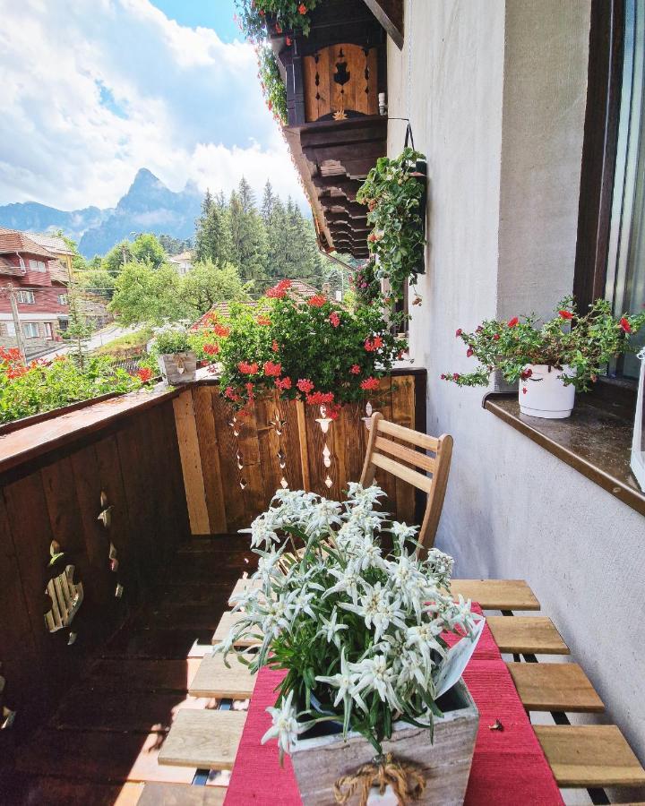 Amor Tirol Busteni (Adults Only) Exteriér fotografie