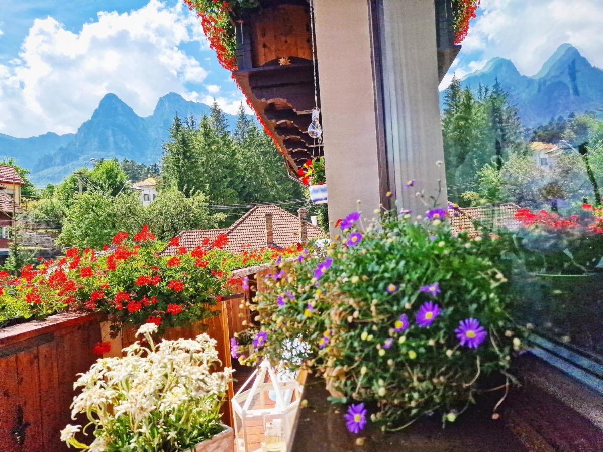 Amor Tirol Busteni (Adults Only) Exteriér fotografie