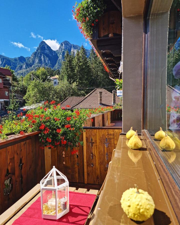 Amor Tirol Busteni (Adults Only) Exteriér fotografie