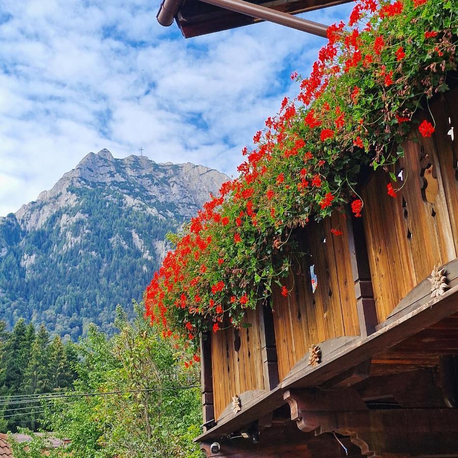 Amor Tirol Busteni (Adults Only) Exteriér fotografie