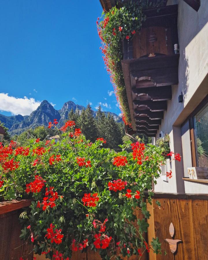 Amor Tirol Busteni (Adults Only) Exteriér fotografie