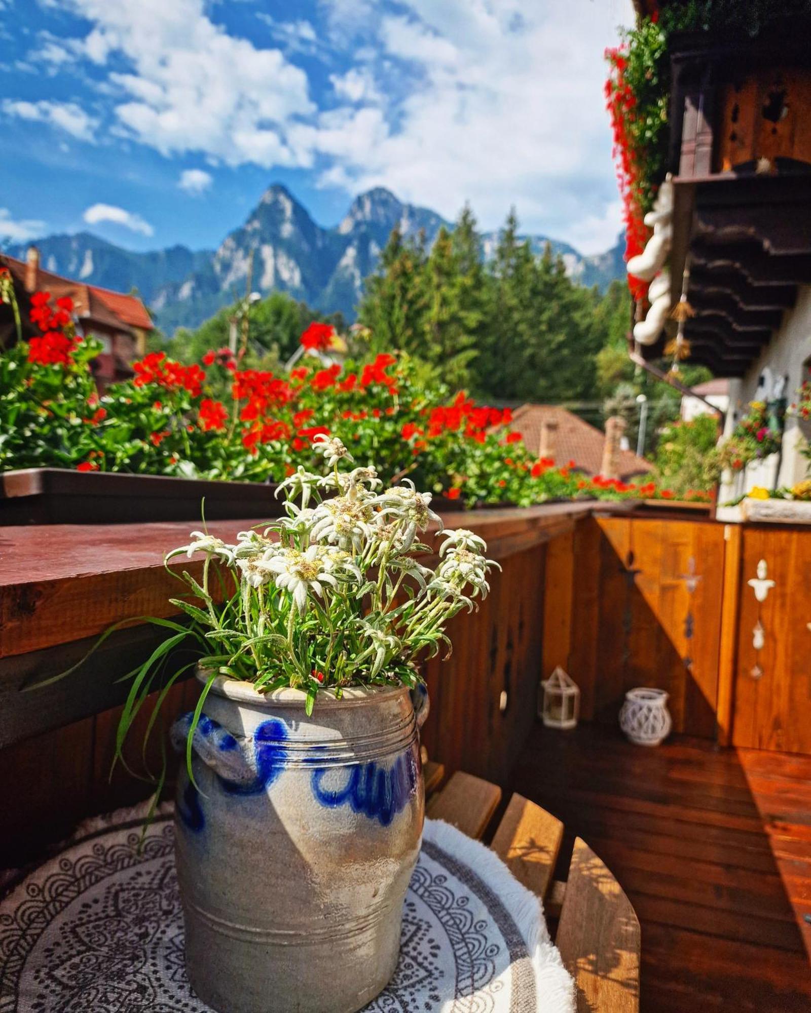 Amor Tirol Busteni (Adults Only) Exteriér fotografie
